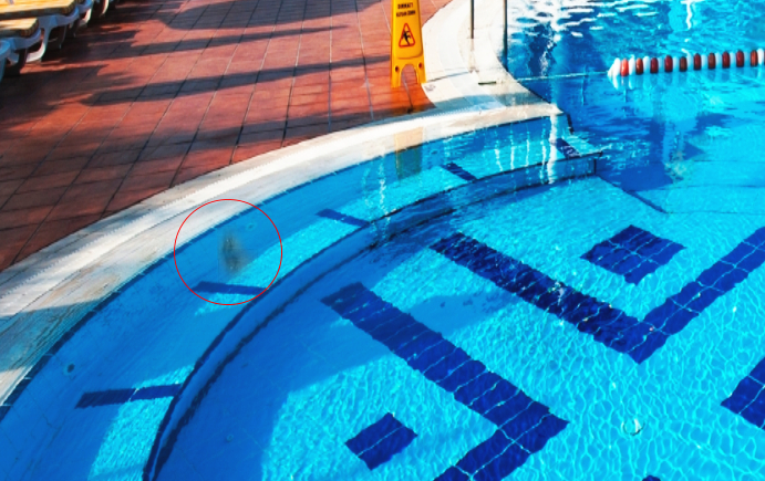 Image is not available